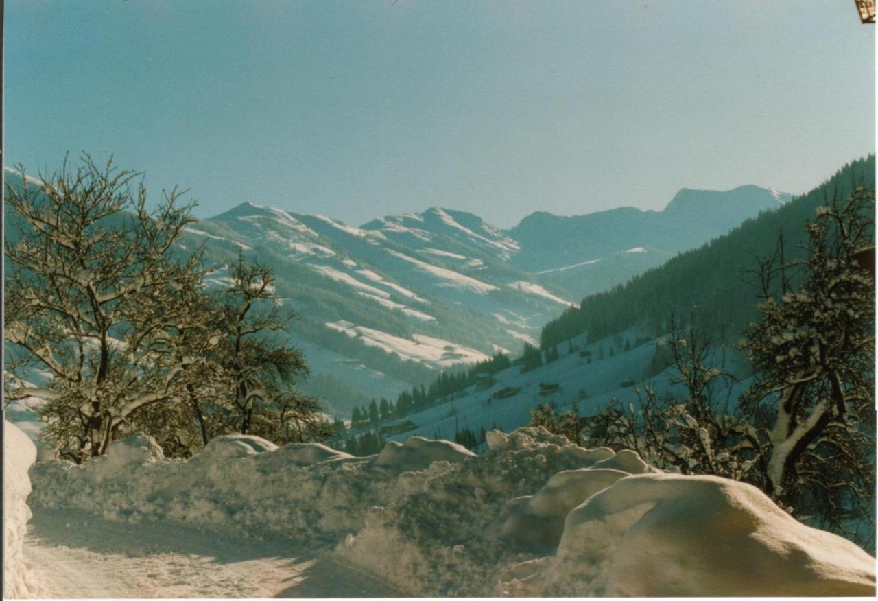 Gruberhof Villa Reith im Alpbachtal Bagian luar foto